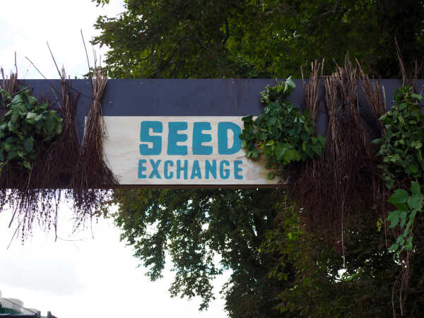 Seed Exchange. Jedzenie na trawie i szefowie kuchni w polu.