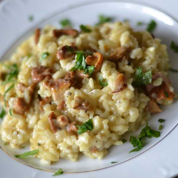 Risotto z kurkami