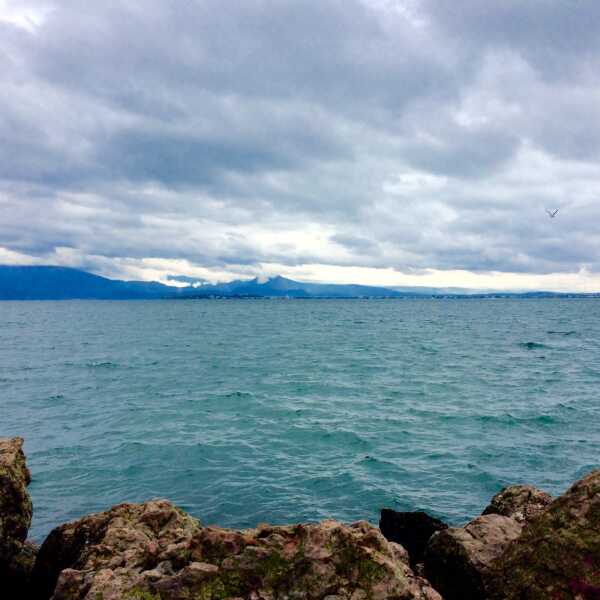 Jezioro Garda rybami nie stoi
