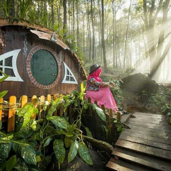 Berkunjung ke Rumah Hobbit Jogja di Kawasan Hutan Pinus Dlingo