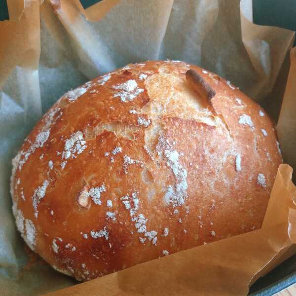 Włoski chleb bez zagniatania / No-Knead Italian Bread