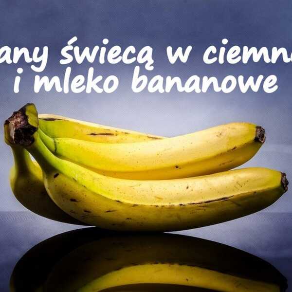 Banany świecą w ciemności i mleko bananowe