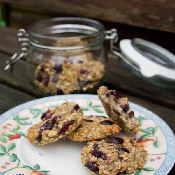 Zdrowe ciasteczka owsiane z suszoną żurawiną. / Healthy oats cookies with dried cranberry.