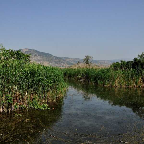 Izrael - Park Narodowy Doliny Hula
