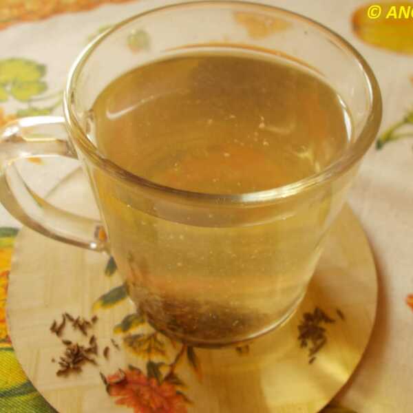Herbatka z kminku oczyszczająca jelita - Caraway Seed Infusion - Tisana al cumino tedesco