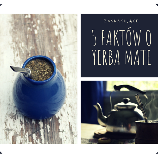 5 faktów o yerba mate