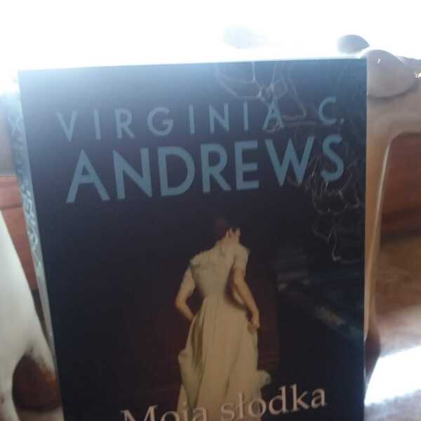 'Moja słodka Audrina' Virginia C. Andrews