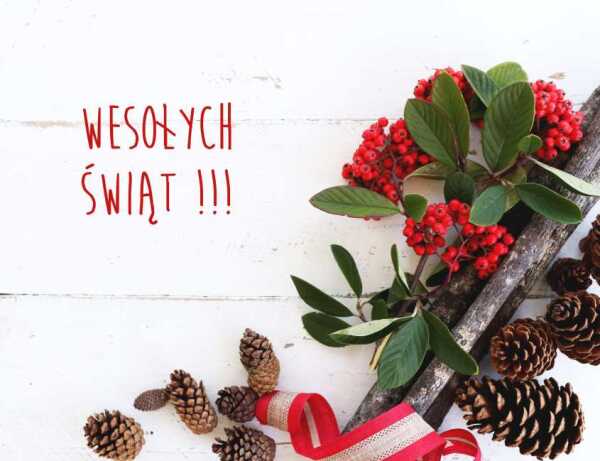 Wesołych świąt !