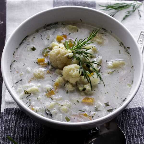 Zupa kalafiorowa z koperkiem (zabielana).