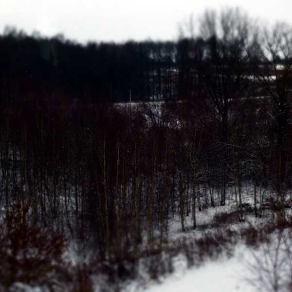 Ostatni dzień w roku zimowo w lesie. 