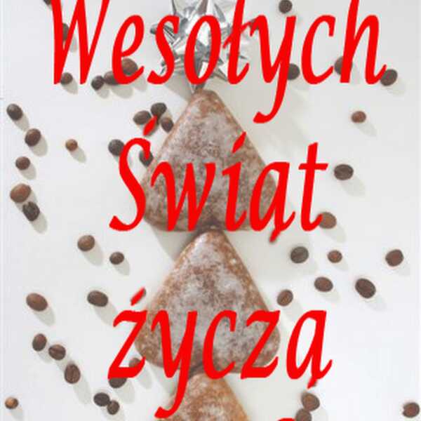 Wesołych Świąt !