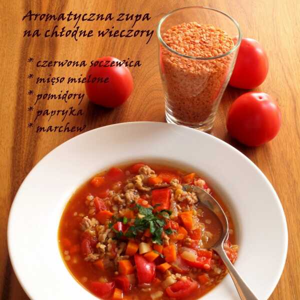 Aromatyczna zupa z mięsem mielonym i czerwoną soczewicą