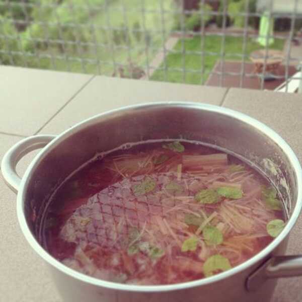 Rhubarb + mint + balcony