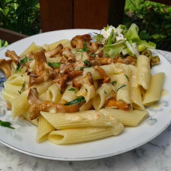 Makaron penne z sosem kurkowym