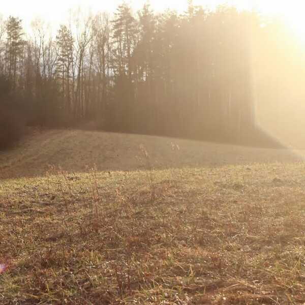 Rozgrzewający napój malinowo-limonkowy z dzikim tymiankiem. I niesamowity spacer