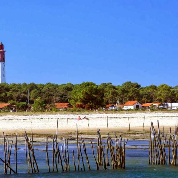 Ostrygi z Arcachon