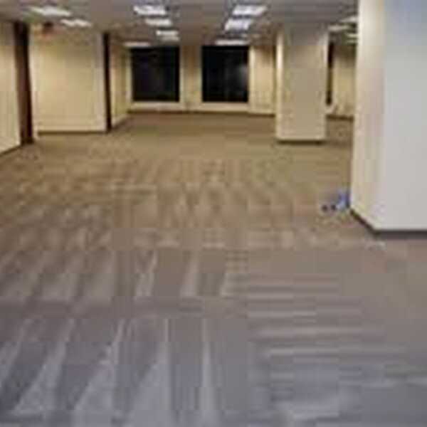 Carpet Cleaner Las Vegas Services 