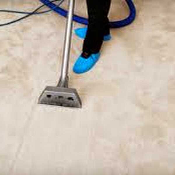 Raleigh Carpet Cleaning 