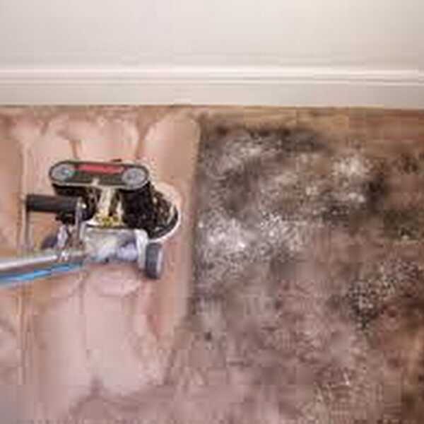 Carpet Cleaning Houston TX 