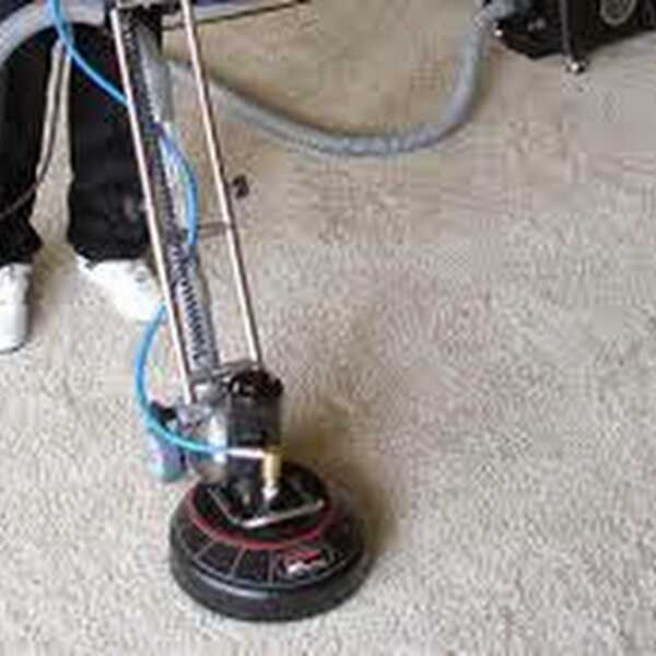 How to look the Quality Carpet Cleaning 