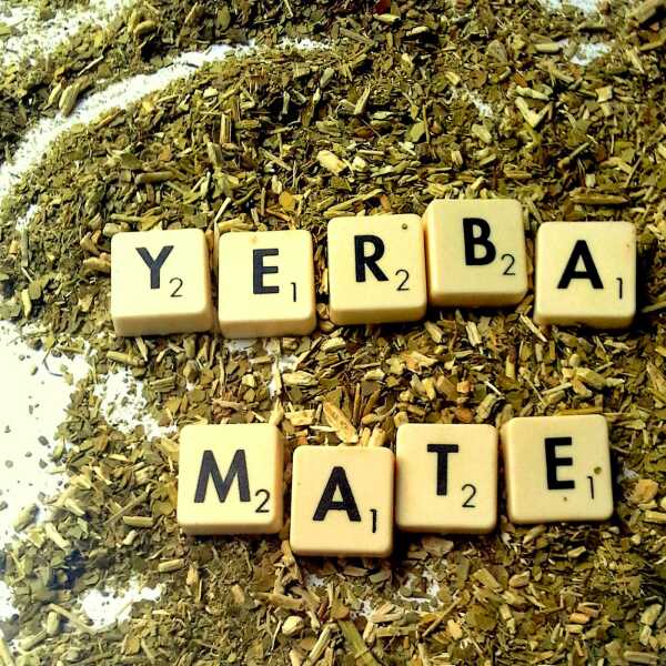 Yerba mate