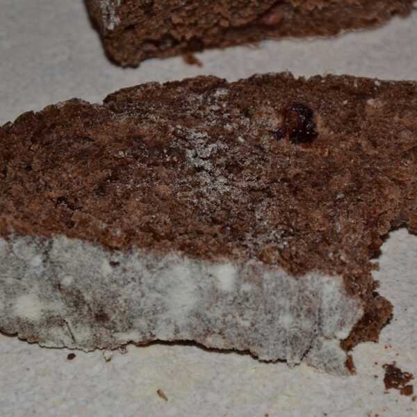 Chleb czekoladowy z żurawiną