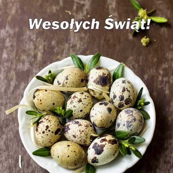 Wesołych Świąt !!!