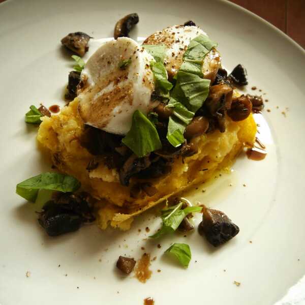 Polenta z pieczarkami i serem kozim/Polenta with mushrooms and goat cheese