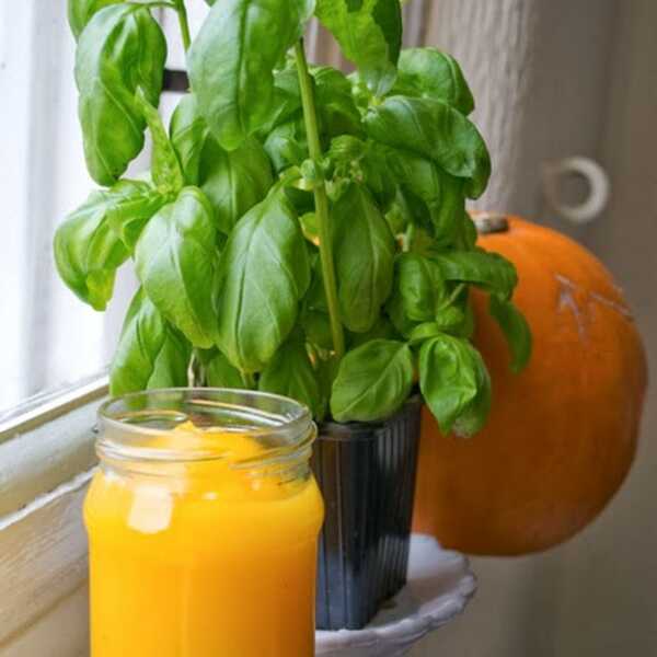 PUMPKIN PUREE