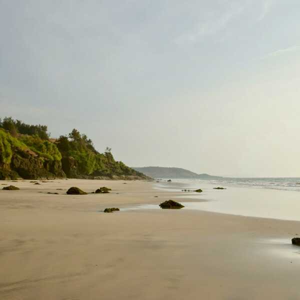 Nadziewane kalmary na pustych plażach wybrzeża Konkan.