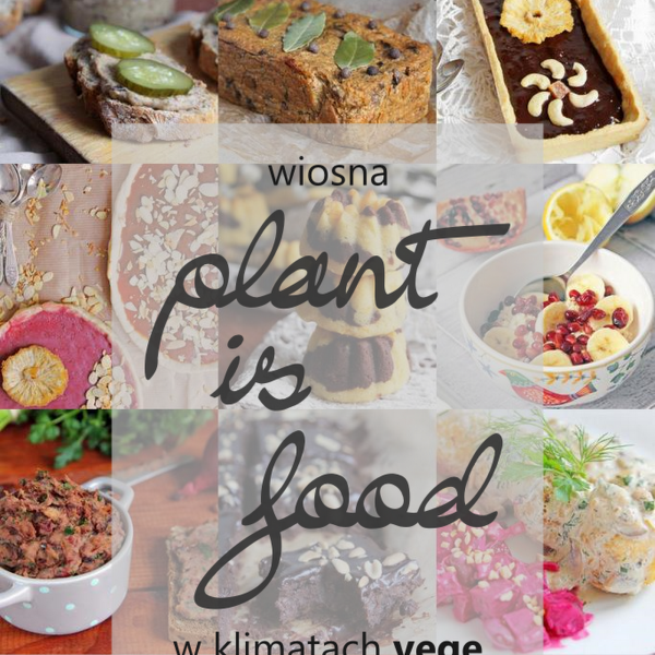 PLANT IS FOOD - podsumowanie akcji