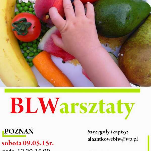 Warsztaty BLW Poznań, sobota 9.05. 2015r.