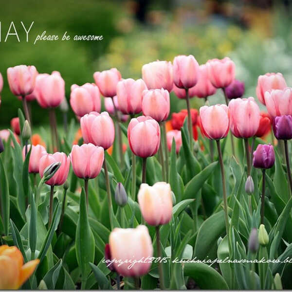 Hello May!