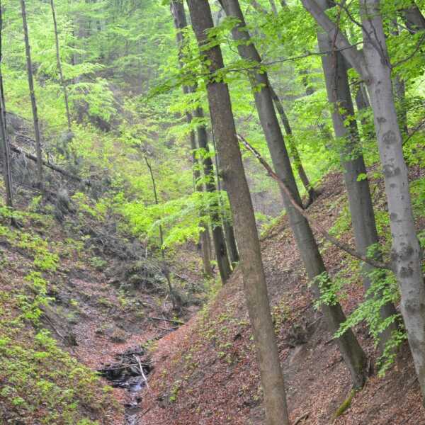 Beskid Śląsko – Morawski, Czechy 1-3.05.2015 r