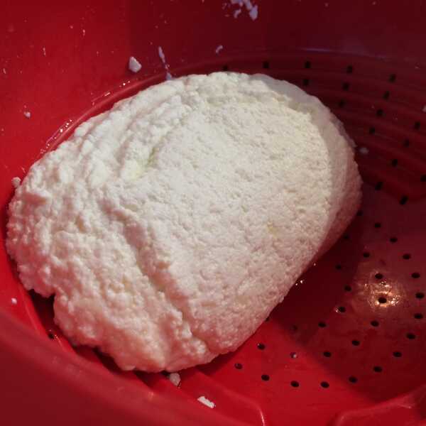 Jak zrobić paneer czyli hinduski biały ser? – super łatwy przepis