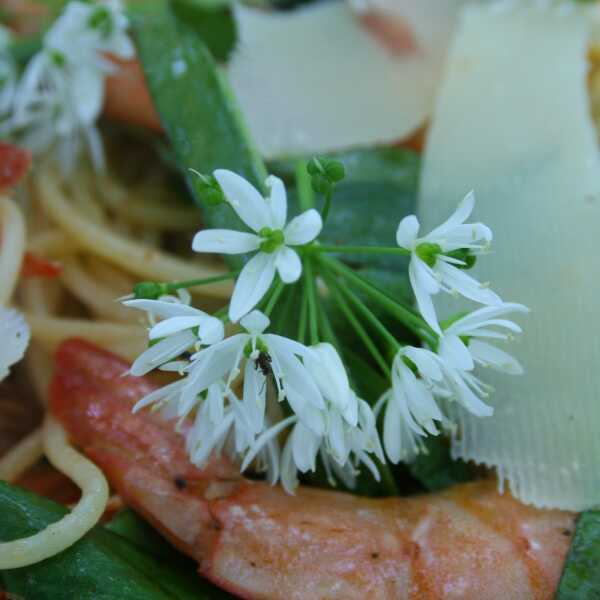 SPAGHETTI Z KREWETKAMI I CZOSNKIEM NIEDŹWIEDZIM