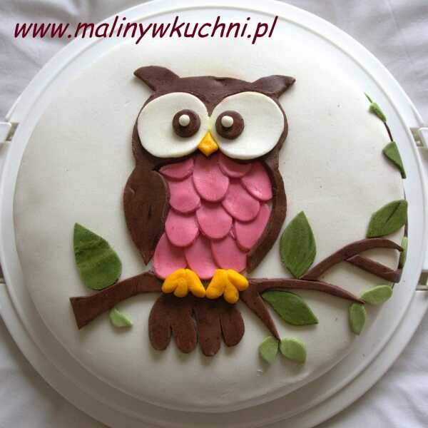 Tort Sowa Sówka / Owl cake