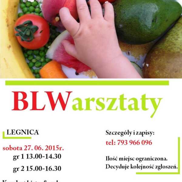 Warsztaty BLW - LEGNICA