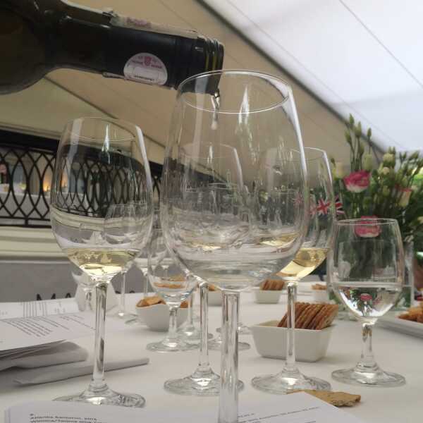 Letnie wina w M&S – Crozes Hermitage Blanc 2013