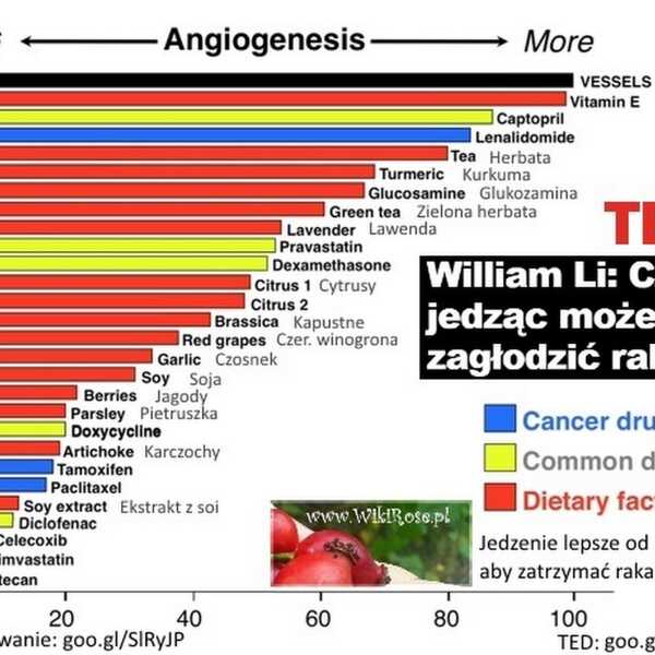 Angiogeneza - czy jedzenie jest lepsze od leków aby zatrzymać raka ?