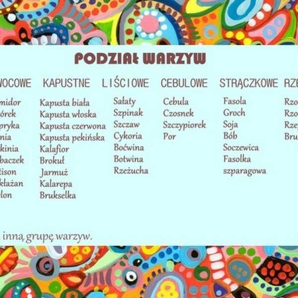 Podział warzyw oraz 6 powodów, dla których powinniśmy je jeść