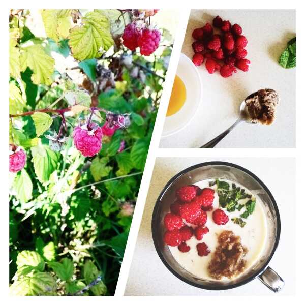 Owsianka z malinami i miętą / Porridge with raspberries and mint