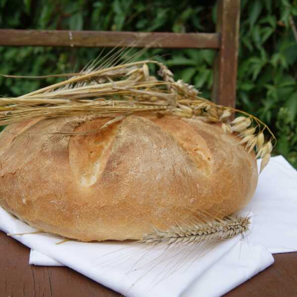 Chleb toskański