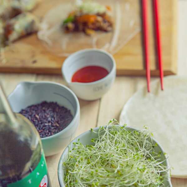 Home-made rice paper spring rolls