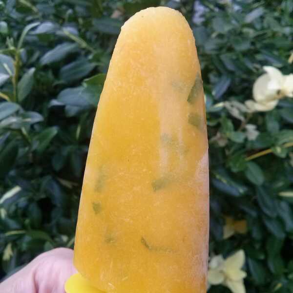 Lody mango-mięta